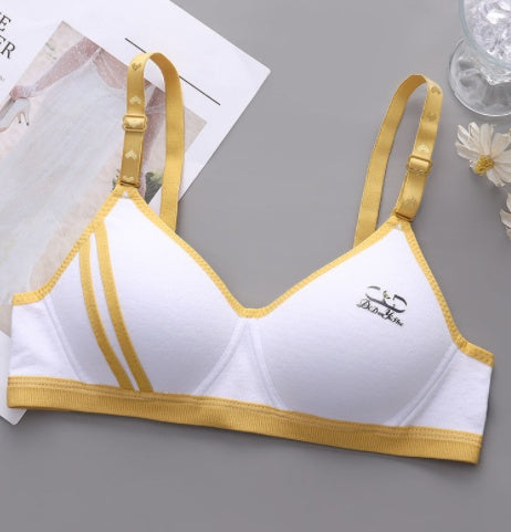 Japanese Style Small Chest Push Up Bra Nocturna-Pro