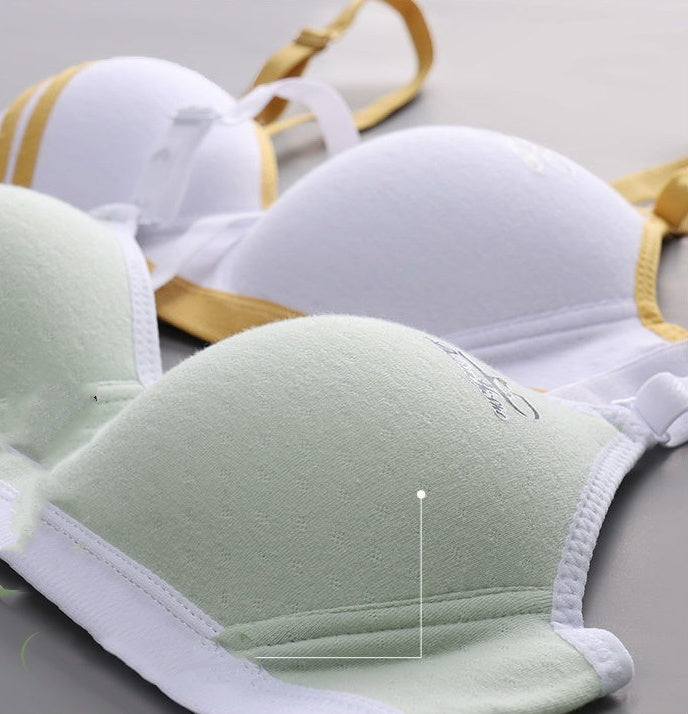 Japanese Style Small Chest Push Up Bra Nocturna-Pro