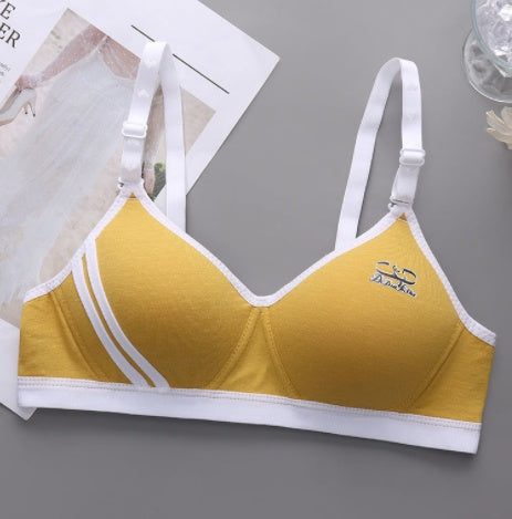 Japanese Style Small Chest Push Up Bra Nocturna-Pro